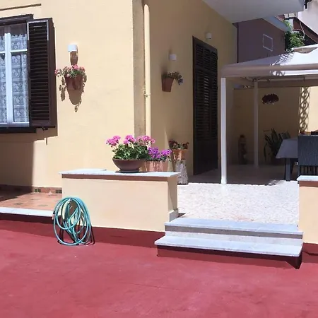 Josh's House * Mondello